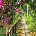 رادیاتور ایستاده آنیت مدل دکوراتیو گل کاغذی